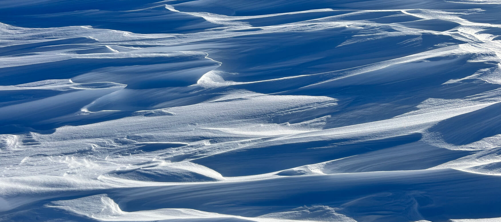 snowy landscape