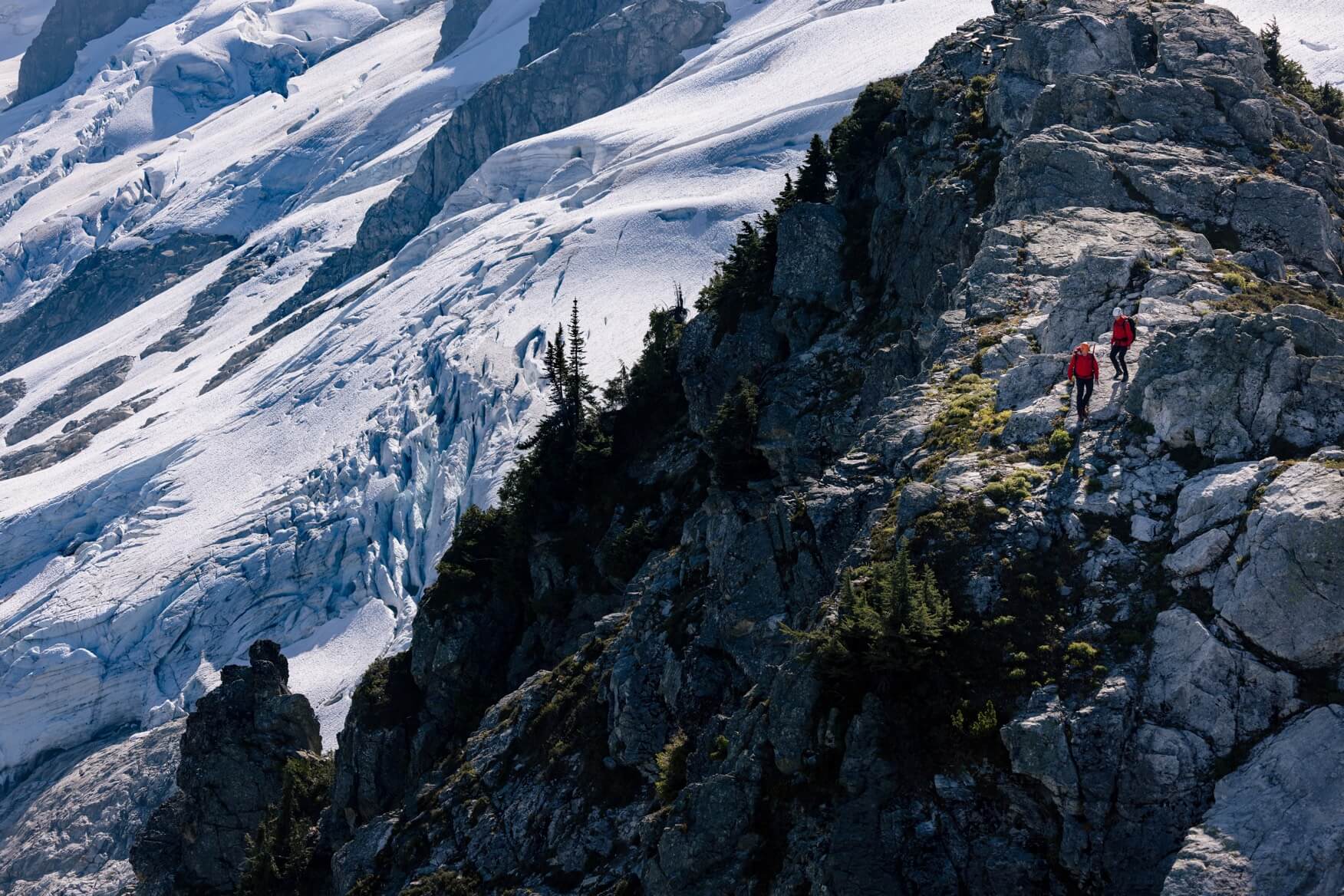 group of search and rescue professionals on the mountain