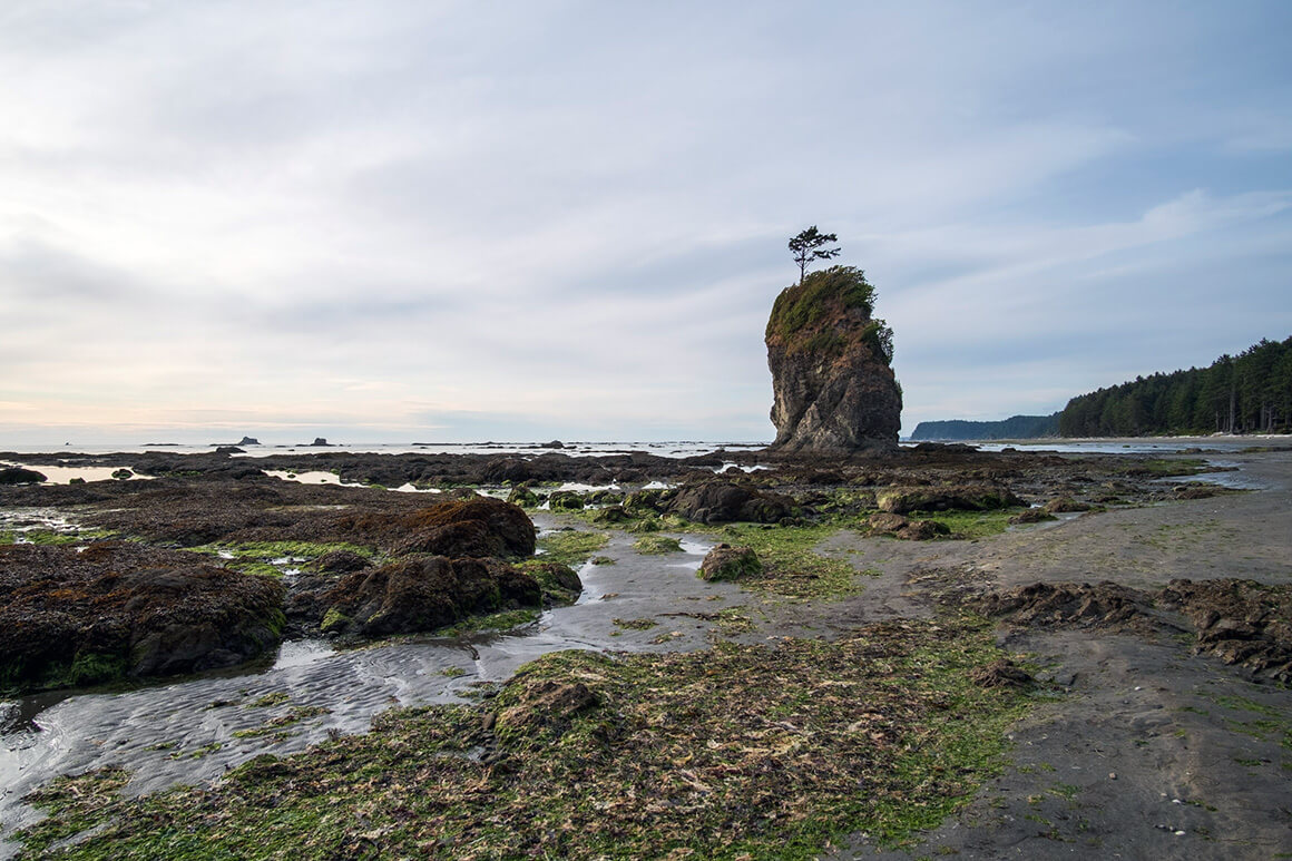 a rocky beach