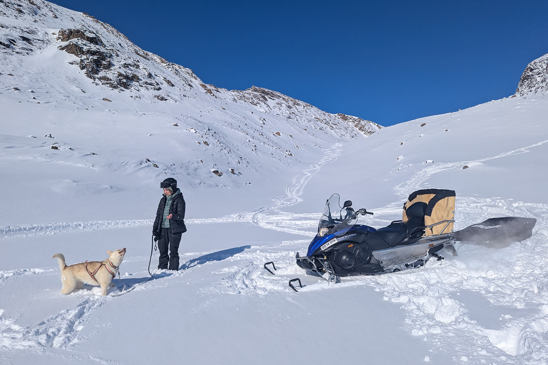 woman and dog in the mountains