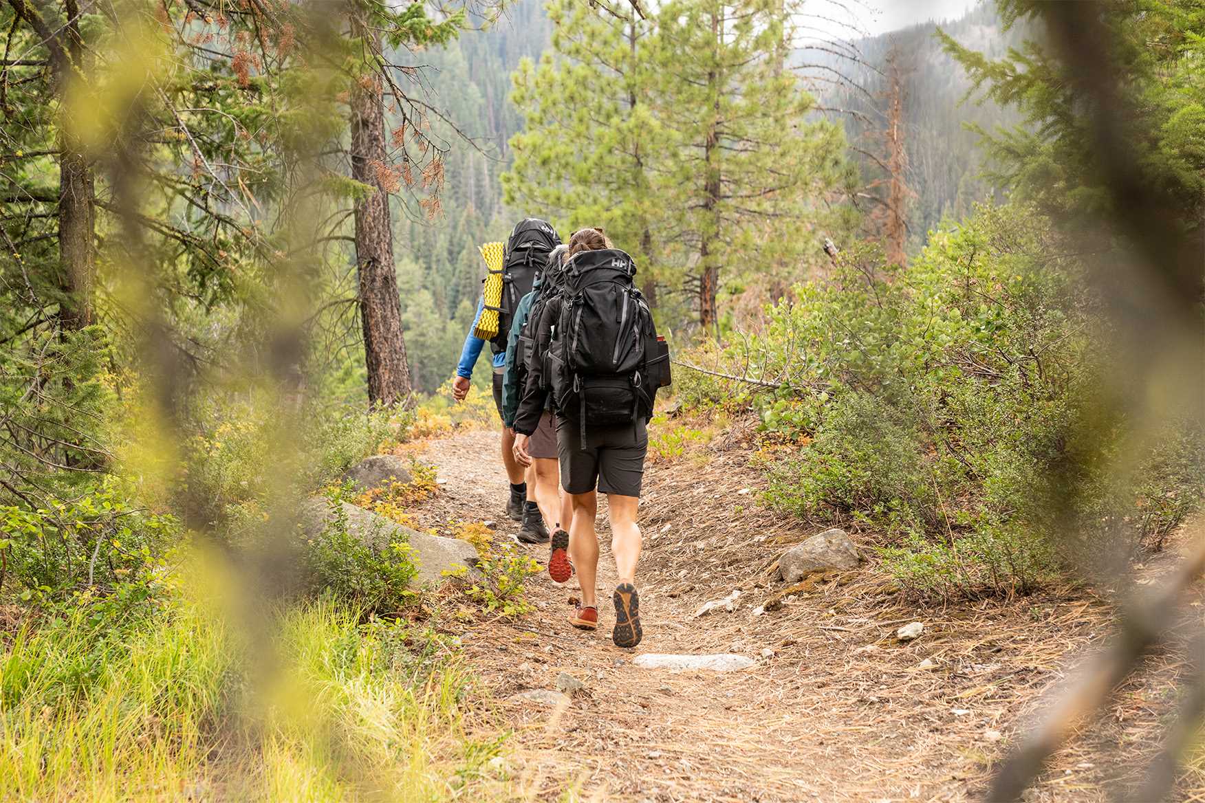 3 people hiking with backpacks