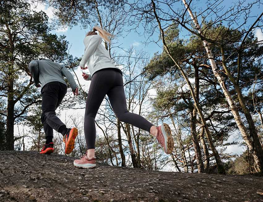 Trail runners in the woods