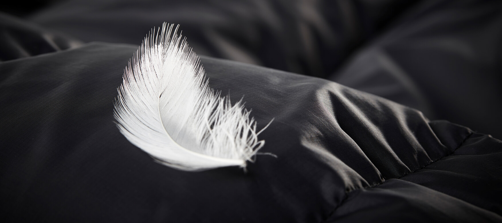 close of up of a down feather on a jacket